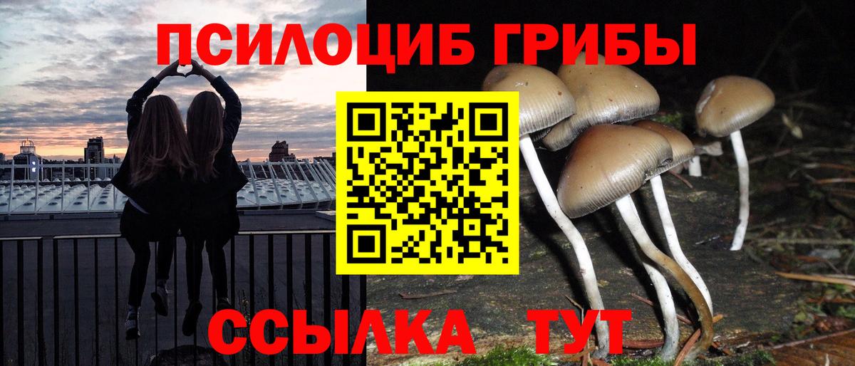 Галлюциногенные грибы MAGIC MUSHROOMS Новомосковск
