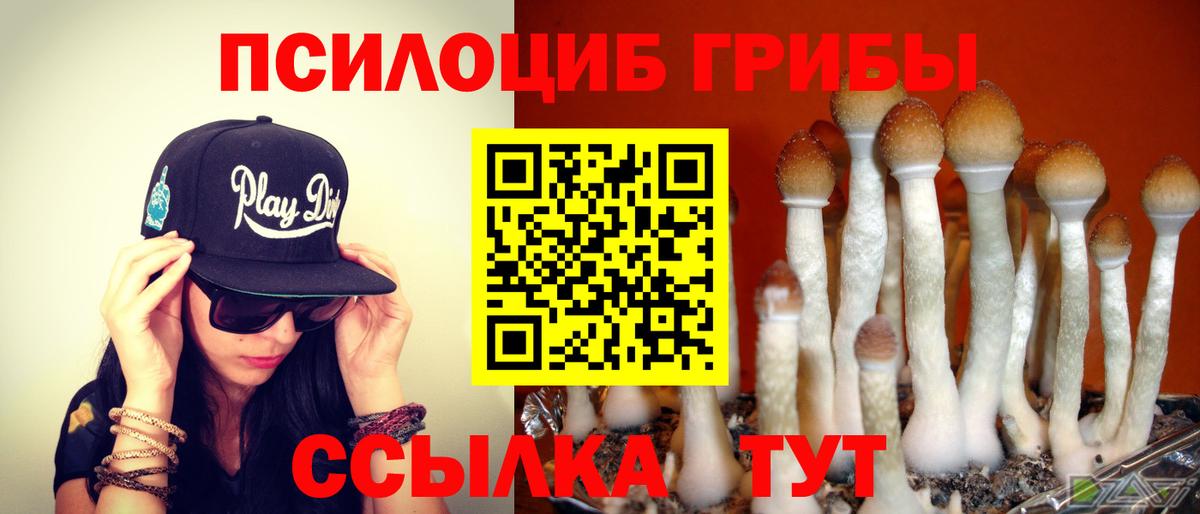 купить наркоту  Псилоцибиновые грибы ЛСД  Новомосковск  Галлюциногенные грибы ЛСД 